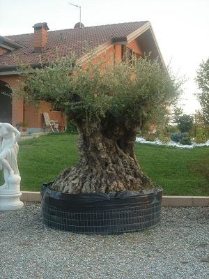 clicca per ingrandire clicca per ingrandire