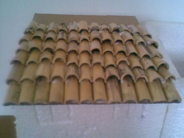 clicca per ingrandire clicca per ingrandire