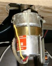 motorino.jpg (9461 byte)